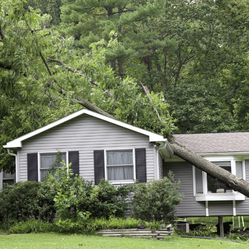 Emergency Storm Roofing Services in Livingston TX