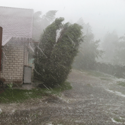 Emergency Storm Roofing Services in Livingston TX